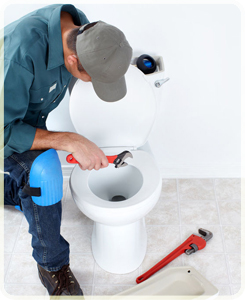 toilet plumbing